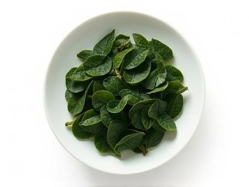 氷出しに適した鮮やかな緑色の高級茶葉